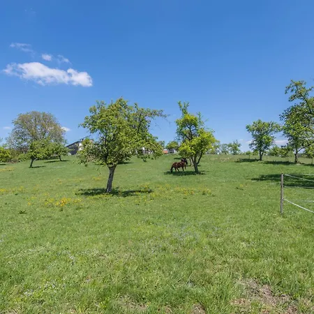 Appartement Rudi Taching am See